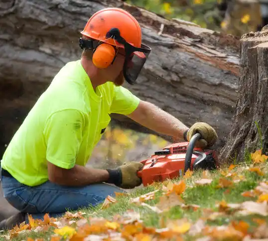 tree services Eldorado at Santa Fe